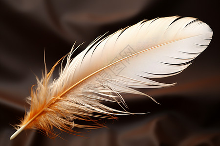羽毛飘落垂丝的动物羽毛背景