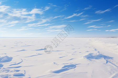 白皑皑的雪图片