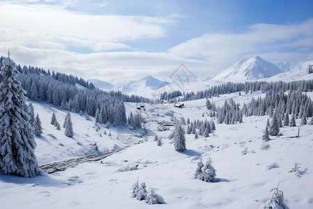 茫茫雪山图片