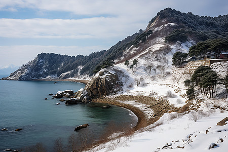 冬天的岛屿图片