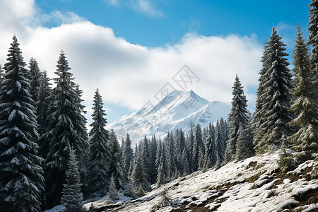 雪山里的天地图片