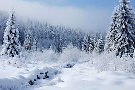 梦幻雪景背景图片