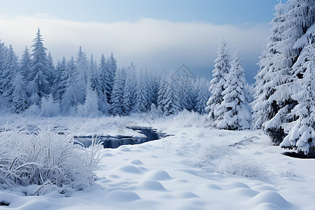 冰雪仙境雪景公园高清图片