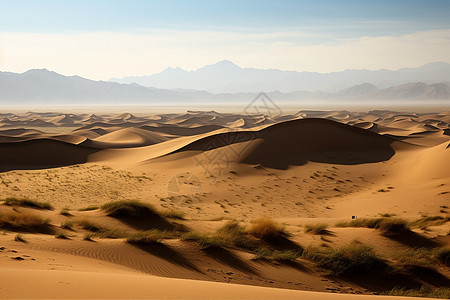 孤独沙漠背景图片