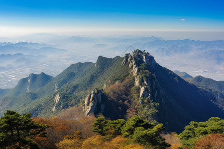 上山的树林山脉沂蒙山高清图片