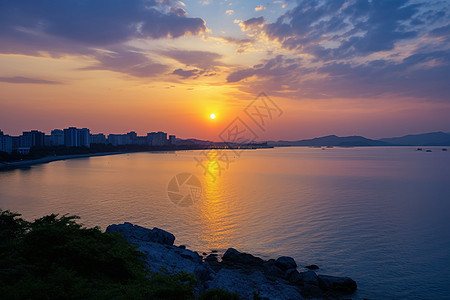 城市中广阔的海洋图片