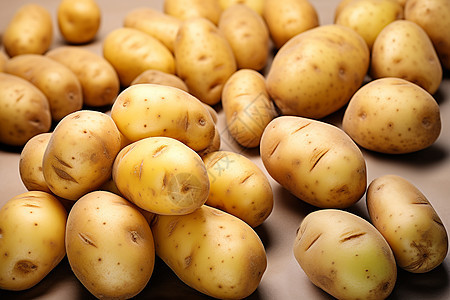 丰收季节的土豆背景图片