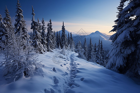 雪山之巅图片