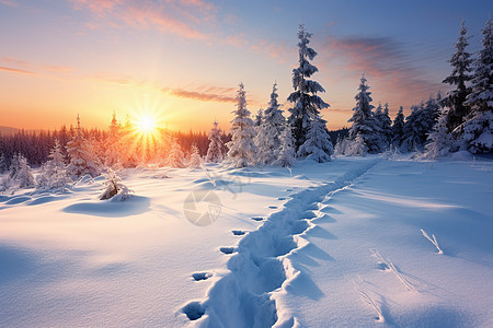 冬日夕阳下的雪景图片