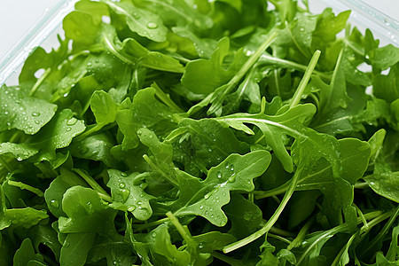 绿色健康的绿叶蔬菜图片