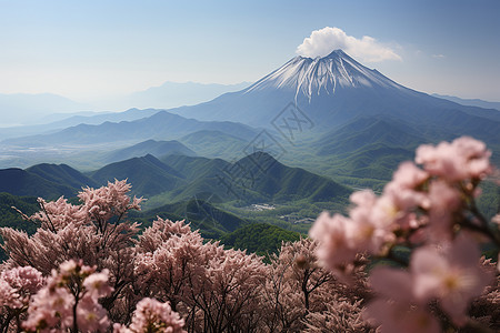 雪山下的花园图片