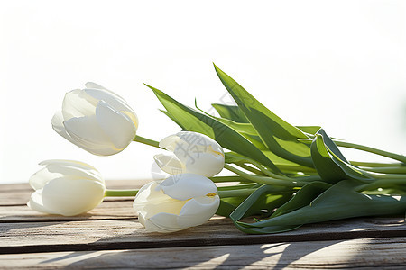 白色郁金香束放在木桌上图片