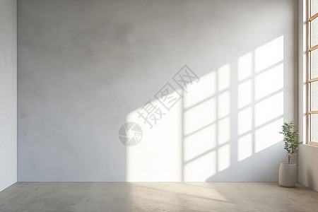 阳光投影在白墙上背景图片