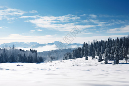 森林冬天冬日蓝天下的雪山风景背景