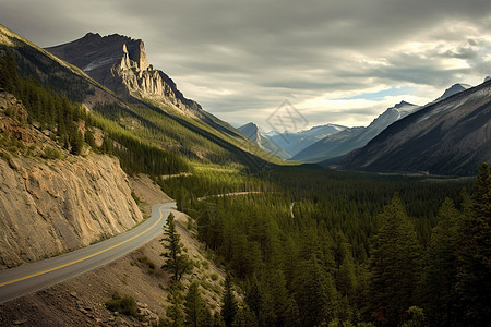 悬崖上的树山中悬崖上的公路背景