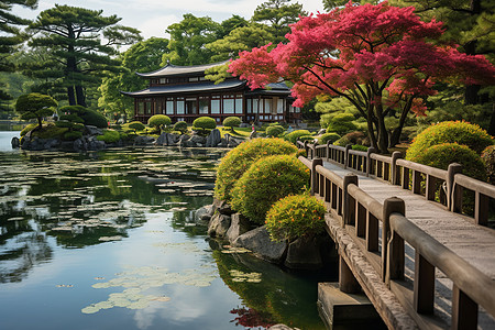 夏季中式古风的园林建筑背景图片