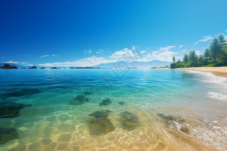 清澈海水清澈的海水和美丽的风景背景