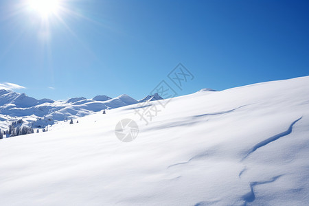 小寒冷冬季的雪景背景