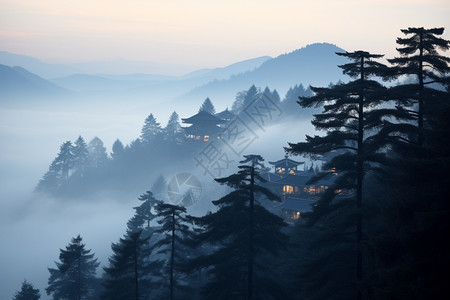 晚霞风景日出的森林背景