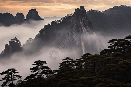 黄山美丽的风景图片