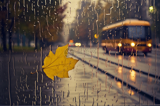 落在玻璃上的雨滴和树叶图片