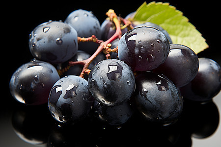 新鲜采摘的葡萄水果图片