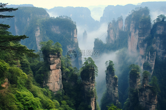 云雾缭绕的张家界风景区图片