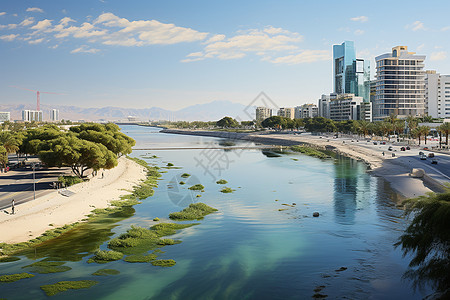 城市中的建筑和河流图片