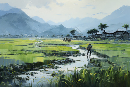 农业的田地水稻图片