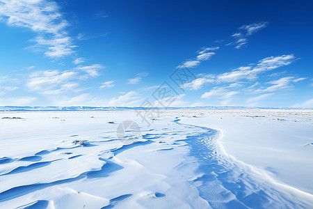 雪地山羊冬日的冰天雪地背景