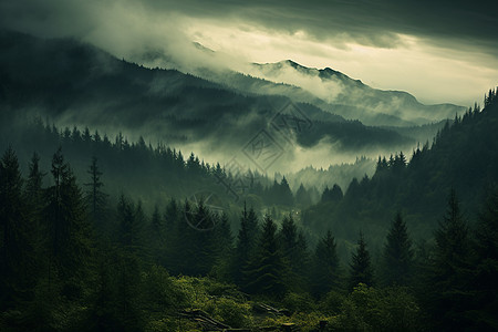 雨后山林的美丽景观图片