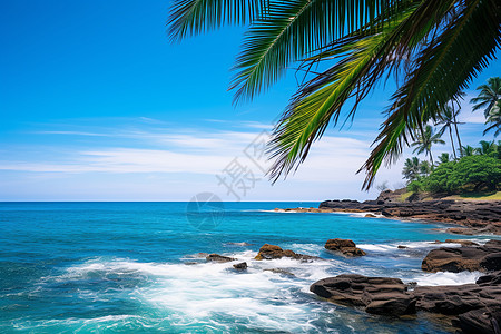 大海波浪绿树环绕碧海静谧背景