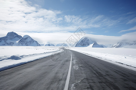 雪地山羊冬日长路背景