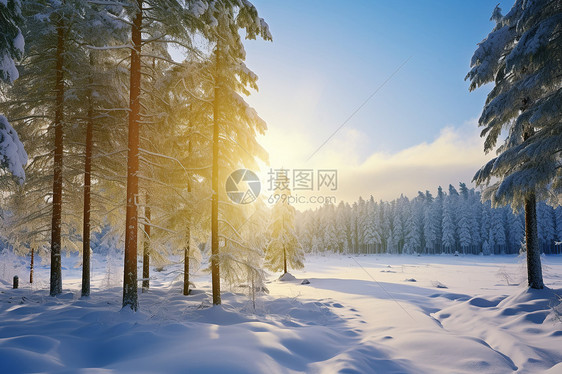 冰雪乡村风光图片