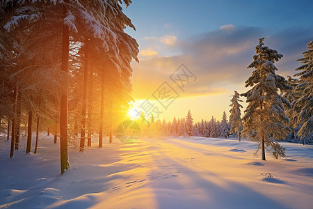 冬日白雪纷飞的景色背景