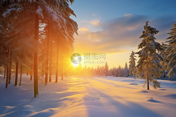 冬日白雪纷飞的景色图片