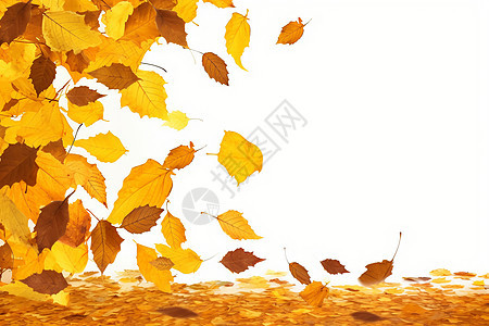 金黄色的落叶背景图片