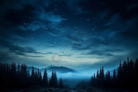 漂亮的森林夜景图片