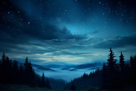 美丽的冬夜森林图片