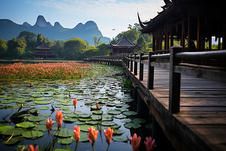 花木板荷塘上的一座桥背景