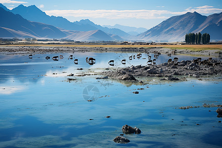 美丽的可可托海风景图片