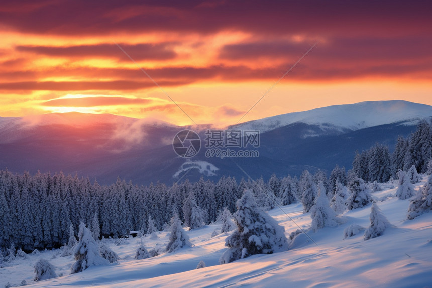 夕阳下的冬季山林景观图片