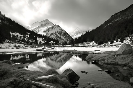 美丽的荒野雪景图片