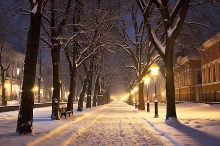 冬季白雪覆盖的城市街头图片