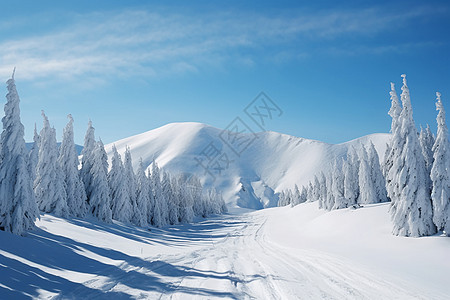 冬日山巅初雪高清图片