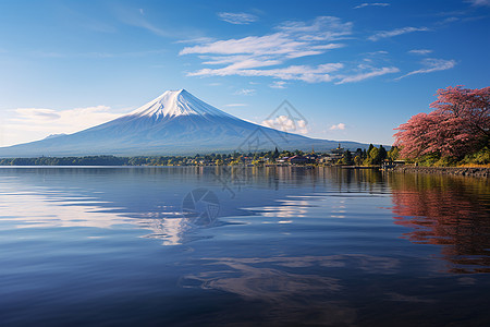 晨映富士山图片