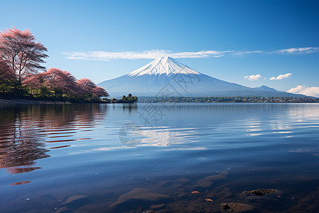 日本富士山景色富士山初春的湖畔景色背景