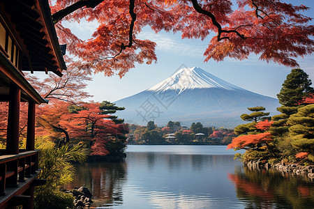 红叶一片日本秋天的富士山背景