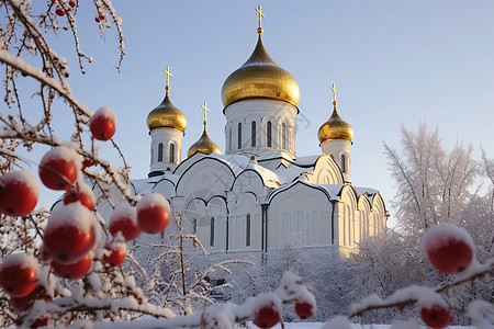 冬日圣殿美景图片