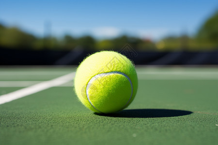 阳光下的网球背景图片